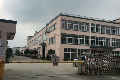 Company