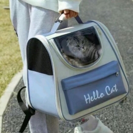 PT-03
